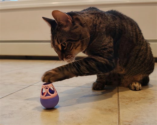 Wobbo - Unique Interactive Treat Dispenser Toy With Personalizable Color Combo, Adjustable and Washable - Etsy