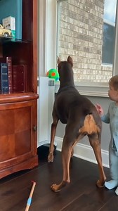 My game friend | Dog lover