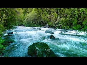 4K Primordial Forest River Flowing 🌿 Relaxing Water Sounds. White Noise for Sleep, Study, Meditation