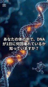 DNAは毎日5万回壊れている！それでもがんにならない理由