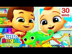 My New Little Pet 30 MIN COMPILATION | Fun Animal Sing Along Songs by Little Angel Animals