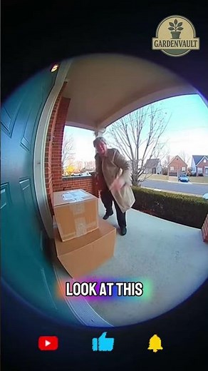 HOA Yells at Boxes… Then Falls 😱📦 (Caught on Ring Camera)