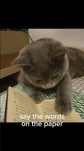 how to read tutorial part 9 #cat #usefultips #helpful