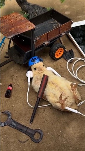 new murgi 🐤New Gadgets |New ViralGadgets, Smart Appliances, Kitchen Utensils😱🤯#shorts#ytshorts