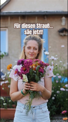 Zinnien & Cosmeen jetzt säen!