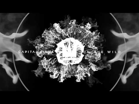 Capital Kings - In The Wild (Official Audio Video)