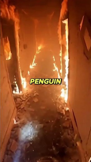 Firefighters Couldn't Leave Without Saving This Child's Best Friend #shorts #emotional #rescue