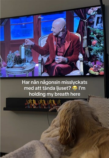 Swedish Christmas Traditions: Spongebob Sigh of Relief