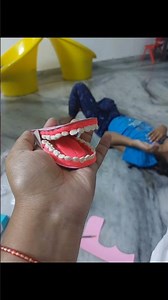 🦷 Types of Teeth | Clay Model Project for Kids | Easy School Activity