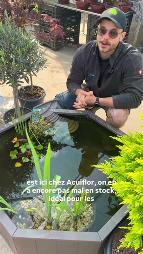 Un bassin complet à moins de 250€? C’est possible?
