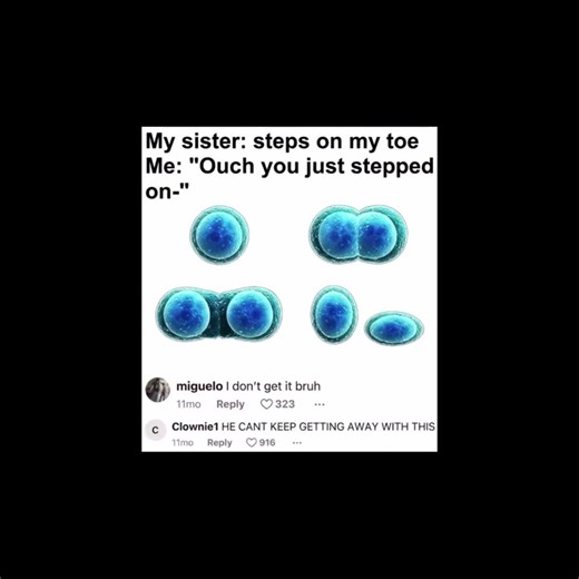 Stomped