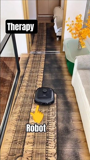 Therapy: watching robot vacuum work