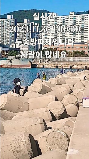 부산 다대포 두송방파제 #관광 #여행 #바다 #낚시 #방파제 #fishing #조황