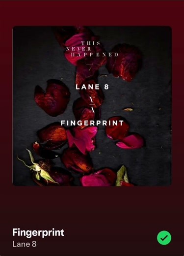 Today's track ID Lane 8 - Fingerprint share your thoughts 😊😉