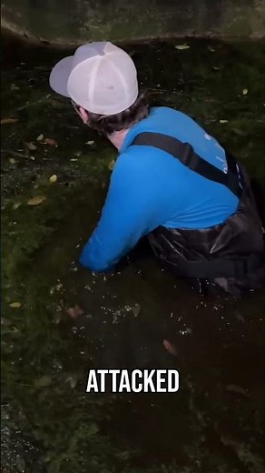 I Was Attacked by Something HUGE! #fish #fishing #alligator #animals