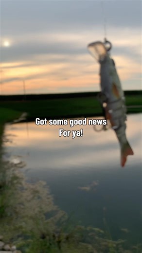 Warmer weather means more fishin for me! Found these lures on TikTok shop and have been super happy with them! Click that link below and get you some! #springtime #fishing #bassfishing #lakeday #fishlikeapro