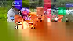 3.8K views · 26 reactions | Are you chasing an all-rounder family...