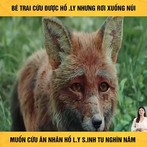 5.4M views · 80K reactions | Bé trai cứu được hồ l.y nhưng rơi xuống núi muốn cứu ân nhân hồ l.y s.inh tu nghìn năm #phimhay | Mai Thanh | Facebook