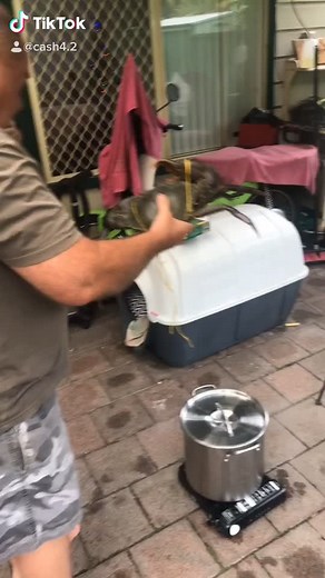 Lets see if we can hit a few milies again