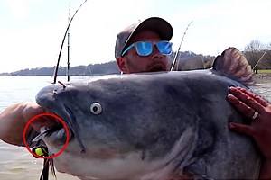 Angler Catches 80-Pound Blue Catfish That Cannibalized Another Catfish