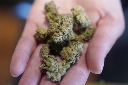 Study finds cannabis reshapes memories. Here's how