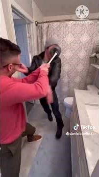 Home Alone In A Rush DVD & VHS Trailer