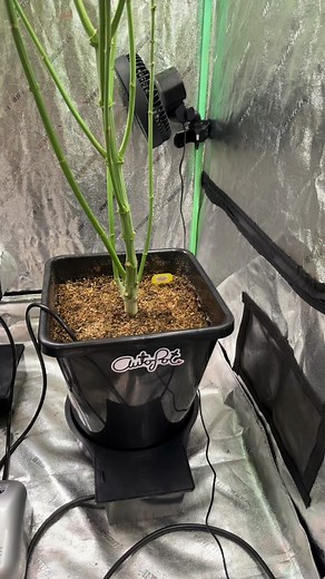 Grow Your Indoor Garden with Autopots