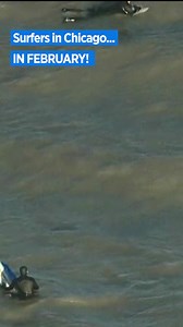 Surfing in February... only in Chicago. 🥶 | CBS Chicago