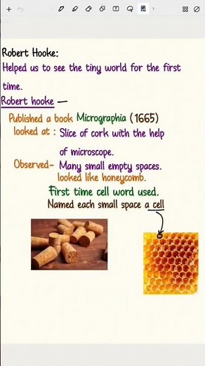 class 8 Science | Chapter 2 | The invisible Living world beyond our naked Eye| Curiosity| New Ncert