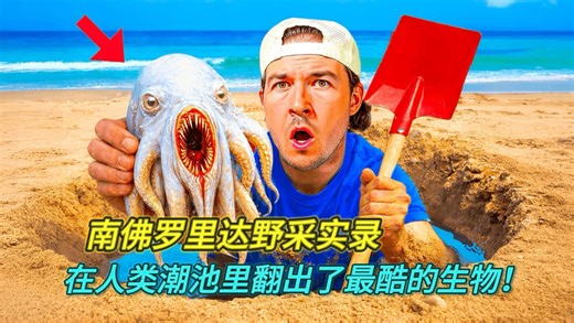 我在无人问津的地方发现了鱼…