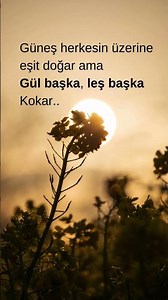 Anlamlı sözler 🌻 Güzel sözler 🌻 Duygusal sözler