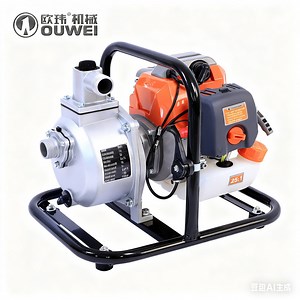 [Hot Item] 43cc 52cc 1 Inch Petrol Water Pump Gasoline Agriculture Wp10 Water Pump
