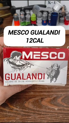 MESCO GUALANDI SLUG 12cal #wildboar #cartridge #hunter #