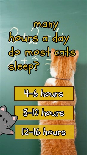 🐱Test your knowledge with this fun Cat Trivia Challenge and see how many questions you can get right