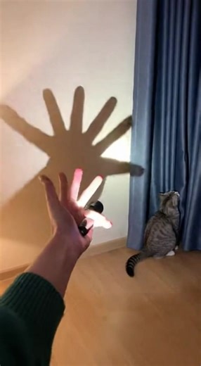 Shadow Boxer  | The Garland Theater | Facebook