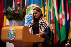 Costa Rica: Statement delivered by Mrs Ana Maria Oduber Elliott