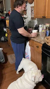 12K views · 1.6K reactions | The mommy actually forgot to post this last night. After the daddy got a shower he wanted to make a drink with crushed ice. Bug always goes bonkers when he uses the ice crusher! It’s not because he likes ice, because he doesn’t eat it at all. Maybe he thinks it’s hurting the daddy, who knows! Oh Augie & Gigi… | Augie Doggy’s Place | Facebook