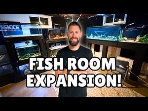 New Aquariums, Building 125 Gallon Stands, & Moving Tanks | Fish Room Expansion (Part Two)