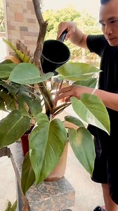 1.1K views · 7.2K reactions | Naaarawan at nadidiligan naman nang...