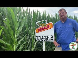 2022 DKC68-35RIB