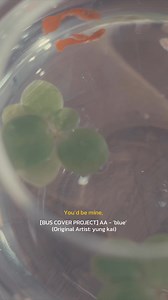 35K views · 4.5K reactions | Your morning eyes, I could stare like watching stars  [BUS COVER PROJECT] AA - ‘blue’ (Original Artist: yung kai) OUT NOW! : https://youtu.be/Z4dT9VKRLJI #AA_blue #AAashirakorn #BUSCOVERPROJECT #BUSbecauseofyouishine | BUS because of you i shine | Facebook