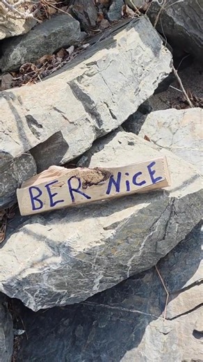 I swore it was different #shorts #spring #story