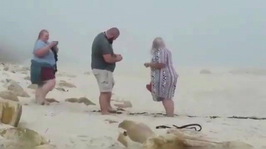 Viral video: Woman falls 3 times while filming couple's wedding proposal
