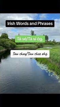 Learn Irish: A Few Everyday Irish Words and Phrases with Pronunciation and Meaning.