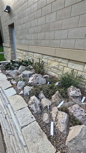 Cold Hardy Cacti in St. Paul, Minnesota! Thanks to everybody at CBS Conservatory for having us last month! | Crime Pays But Botany Doesn't