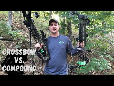 Compound Bow or Crossbow / Which one is best for you!