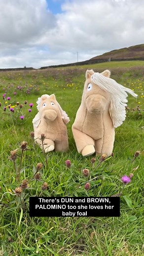 Crafty Ponies: Fun and Educational Equestrian Toys