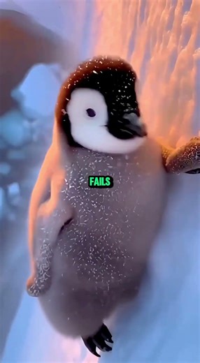 He Caught Him 1 Inch From Death 😱