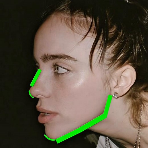 Mogged Trend Explained: Billie Eilish Mogging Clips