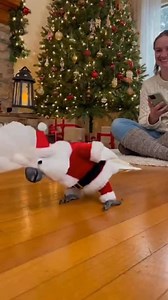 Moves Unlocked | Tourist Channel